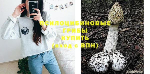 не бодяженный Гусиноозёрск
