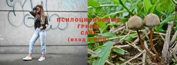 не бодяженный Гусиноозёрск