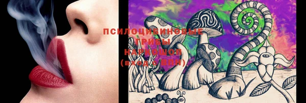не бодяженный Гусиноозёрск