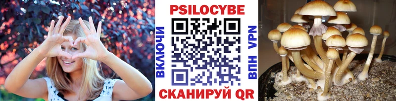 Псилоцибиновые грибы MAGIC MUSHROOMS  мориарти наркотические препараты  Онега  магазин продажи наркотиков 